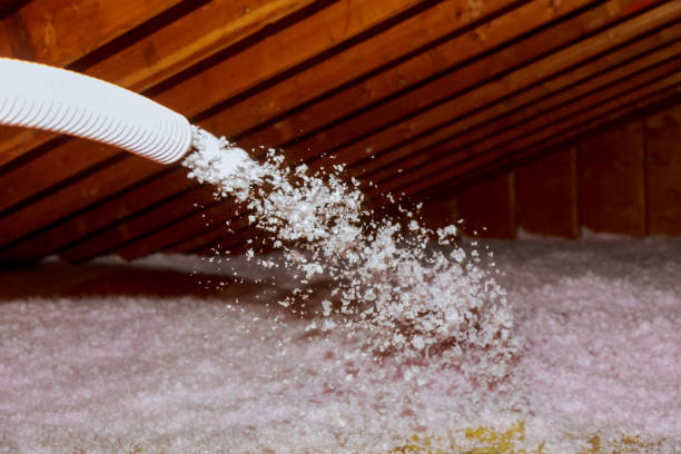 Best Specialized Insulation Services in Bel Air South, MD