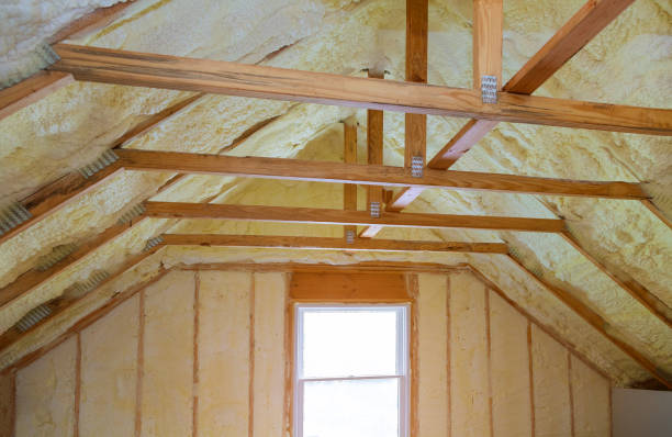 Best Insulation Maintenance and Repair in Bel Air South, MD